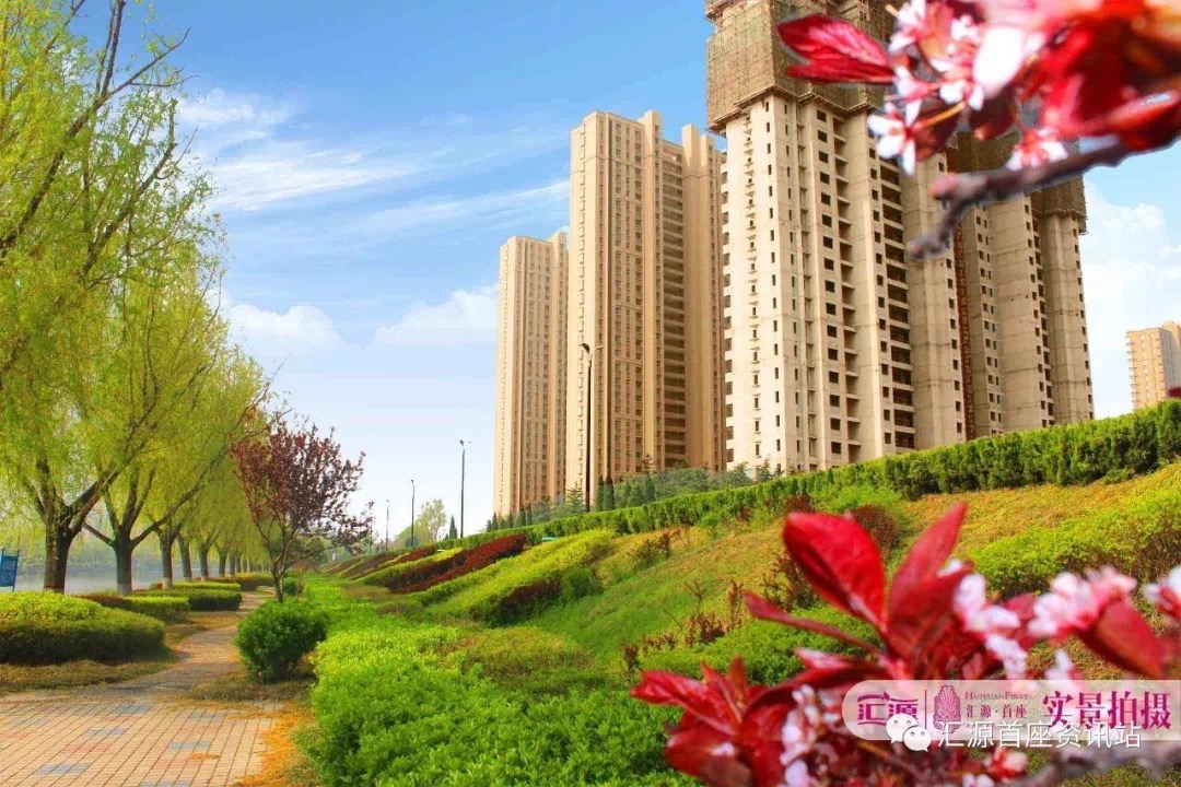 @莱芜人 看过《安家》的你，知道怎么买房了吗？(图2)