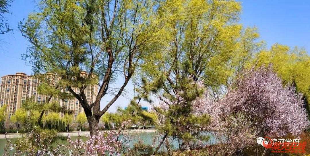 资产保值—在莱芜什么样的房子才能抗通胀(图3)