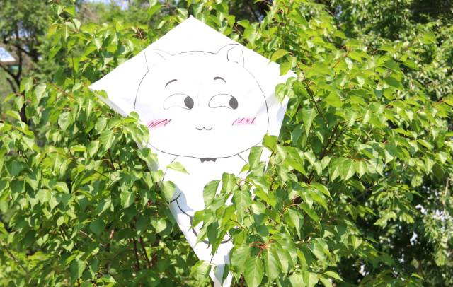 滨河学府风筝节丨亲手做一个风筝，来一场不撞衫的云上之旅吧！(图8)