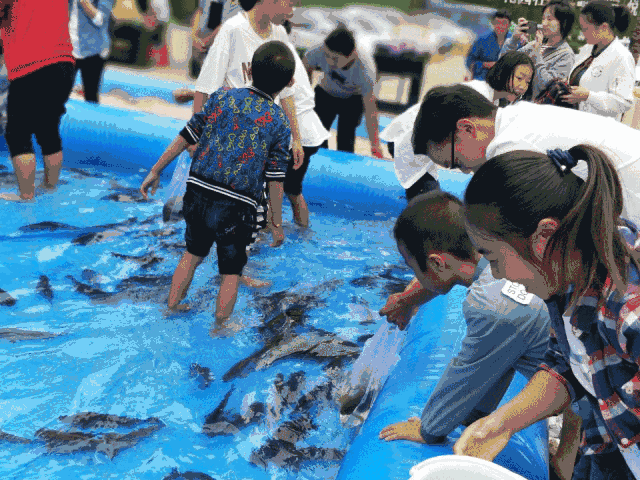 【缤纷夏日，“鱼”乐无限】亲子捕鱼+网红滑道+积木王国等你来玩(图2)