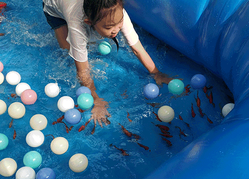 【缤纷夏日，“鱼”乐无限】亲子捕鱼+网红滑道+积木王国等你来玩(图4)