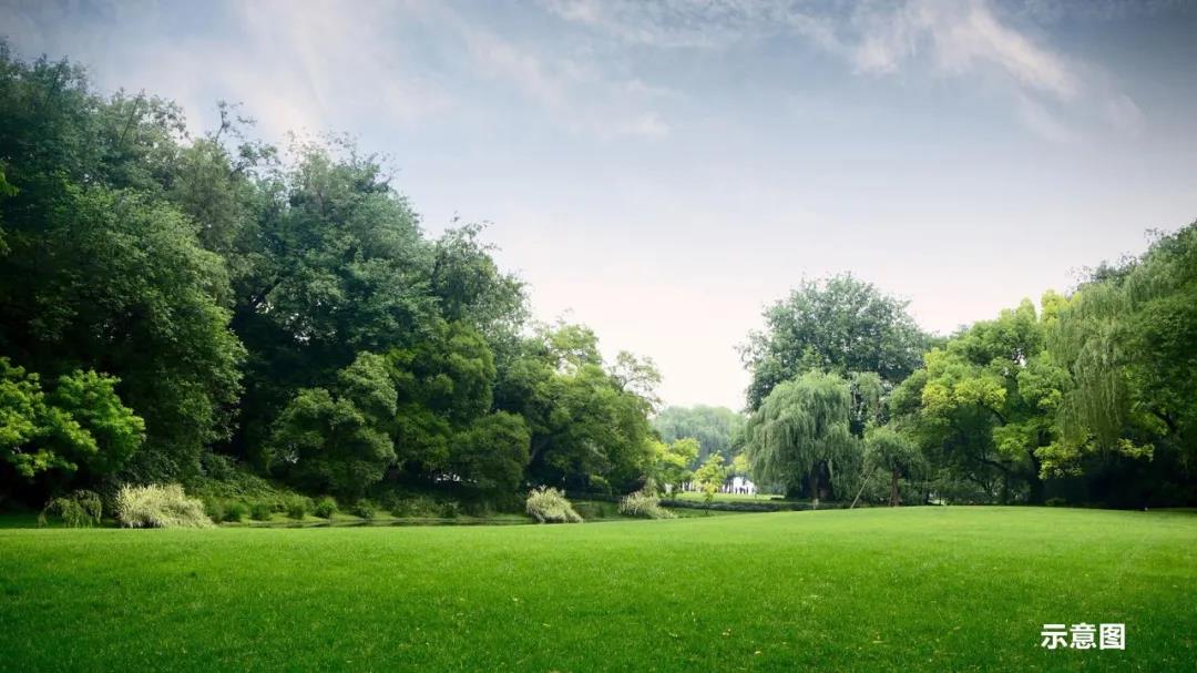 公益修路好 爱心护成长|玉龙湾开发商投资建设的高新区实验学校南门道路已竣工(图9)