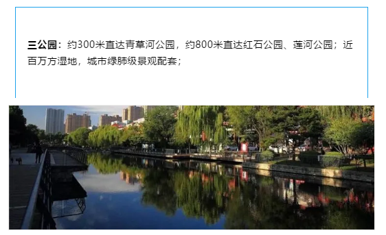 龙厢首府|天生焦点，红盘热销！这个明星大盘凭借的是...(图13)