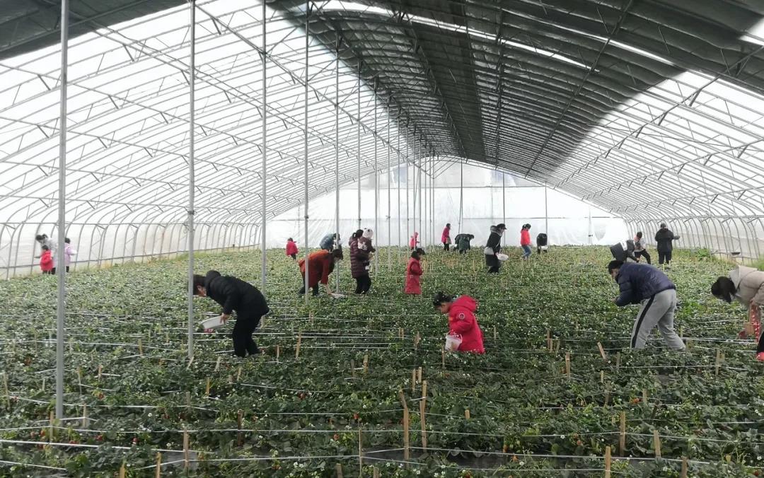 中国铁建·嬴兴园丨邂逅女神节，约会“莓”好时光(图5)