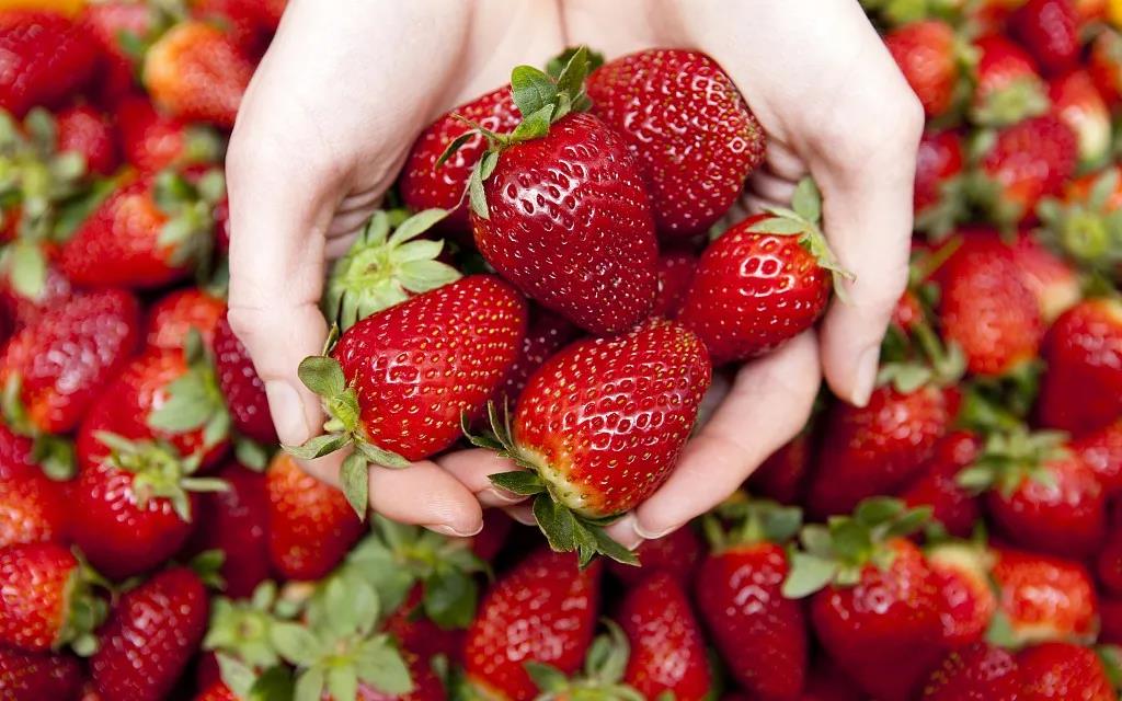 中国铁建·嬴兴园丨邂逅女神节，约会“莓”好时光(图8)