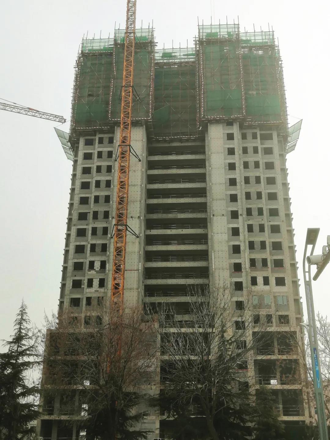 工程进度播报丨冬去春来 美好始终如一(图5)