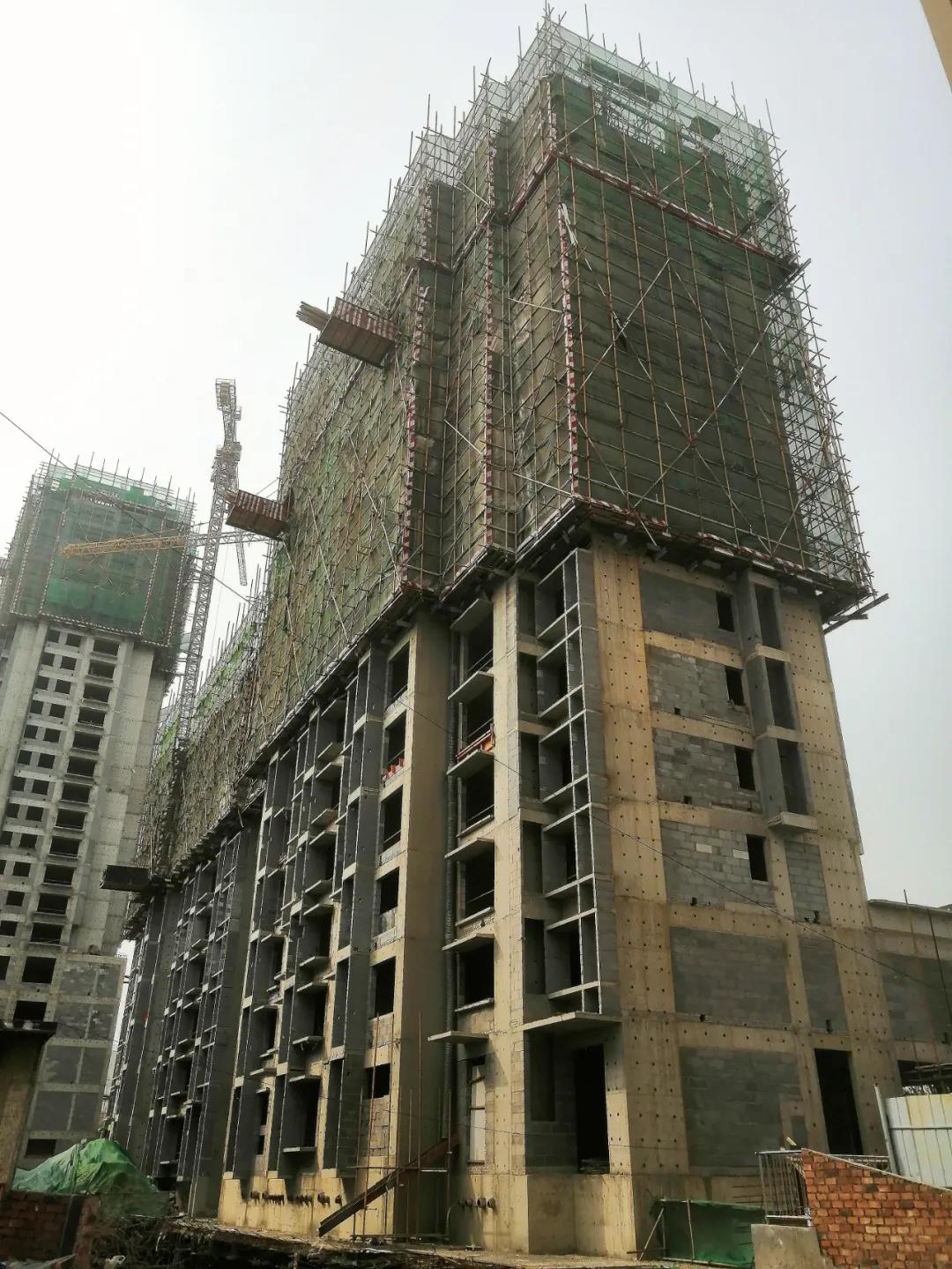 工程进度播报丨冬去春来 美好始终如一(图7)