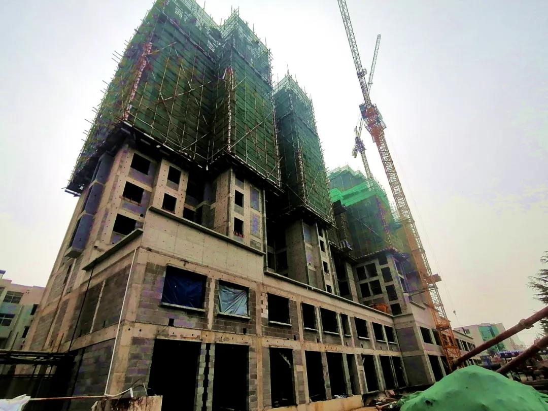 工程进度播报丨冬去春来 美好始终如一(图8)