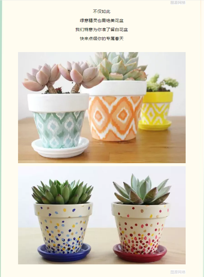 中洋悦澜府|多肉随心搭 指尖见春风(图4)