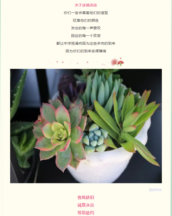 中洋悦澜府|多肉随心搭 指尖见春风(图5)