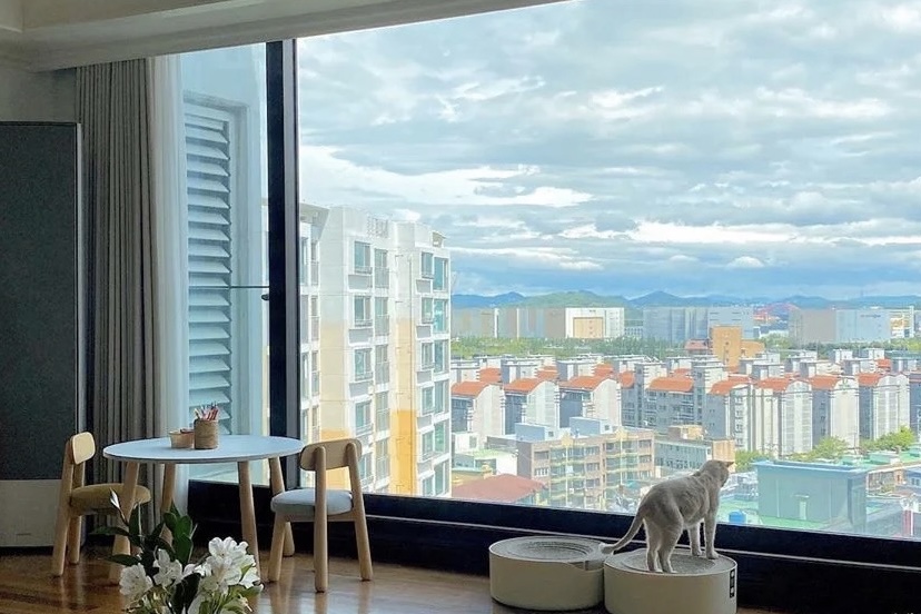 收集了许多美丽的房间窗景，是你梦里的家吗？(图2)