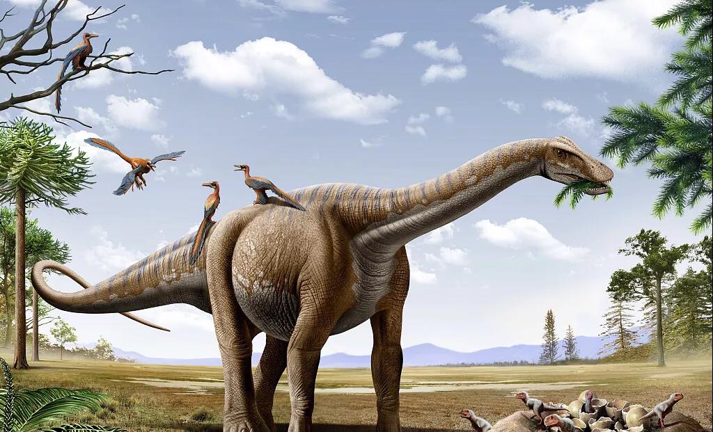 中洋·悦澜府|远古霸主空降莱芜！(图2)