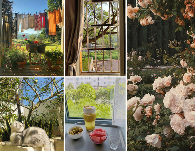 莱芜在线房产频道(图5)