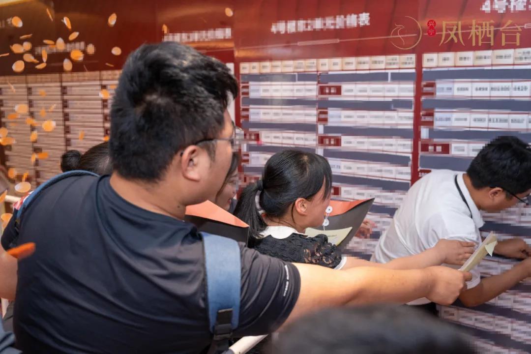 兴宇凤栖台二期新品荣耀再启，盛大认筹！(图5)