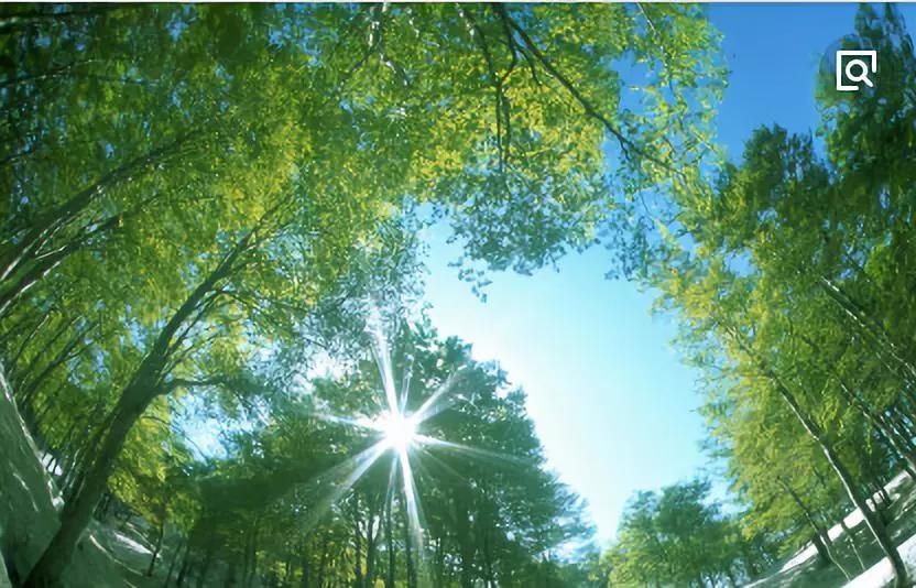 这是我想要的生活“鲜氧吧”(图1)