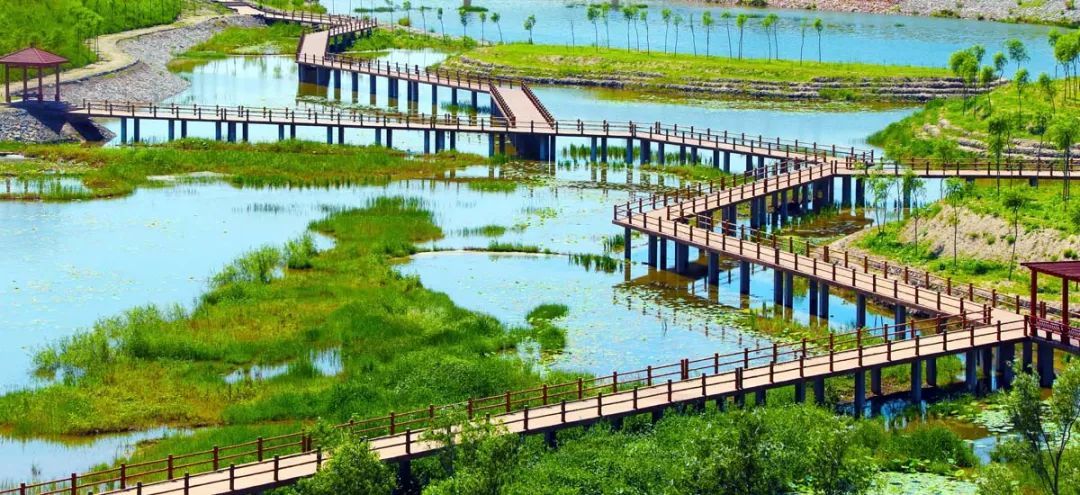 这是我想要的生活“鲜氧吧”(图4)