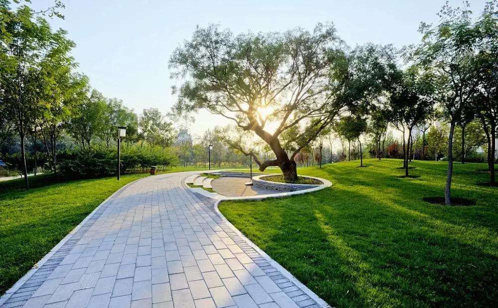 这是我想要的生活“鲜氧吧”(图5)