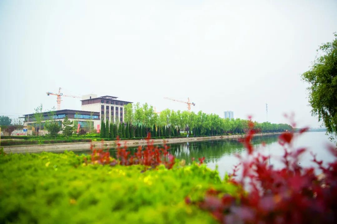 【老师来了】品质红盘，买房秘籍放送 (图6)