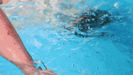 中洋·悦澜府|捕鱼狂欢，全城寻找捕鱼达人！(图1)