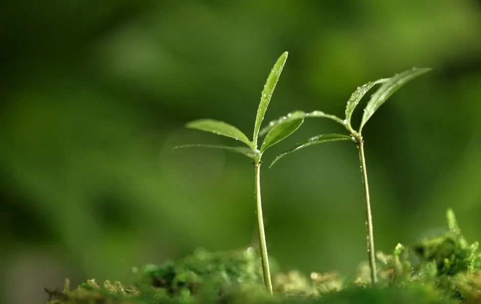 玉龙湾|低楼层这么“接地气” 让高楼层产生了危机(图1)