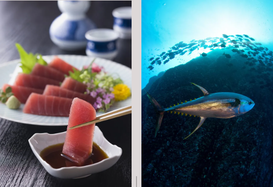 中国铁建·嬴兴园丨海鲜大咖高定私宴，品味盛夏(图4)