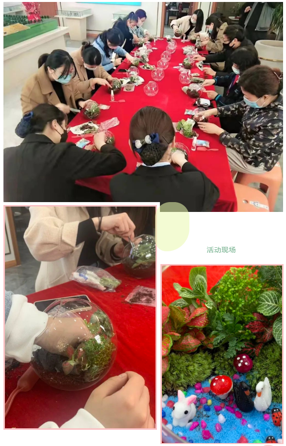 亿嘉·香山名郡“微景观”DIY丨抓一抹绿色，把春天带回家(图1)