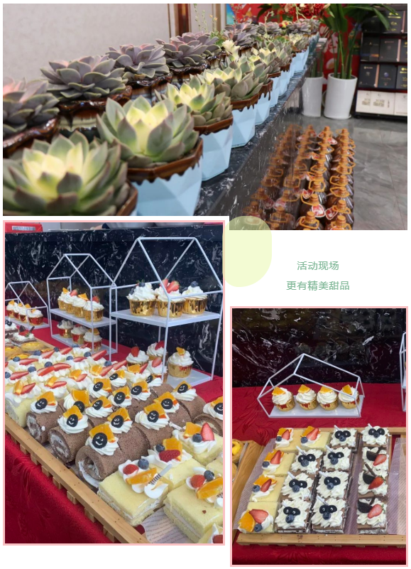 亿嘉·香山名郡“微景观”DIY丨抓一抹绿色，把春天带回家(图2)