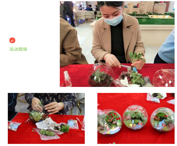 亿嘉·香山名郡“微景观”DIY丨抓一抹绿色，把春天带回家(图3)