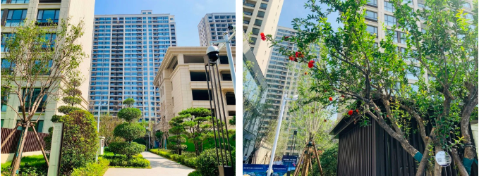 莱芜小区的内卷？凤栖台星际主题庭院大公开(图14)