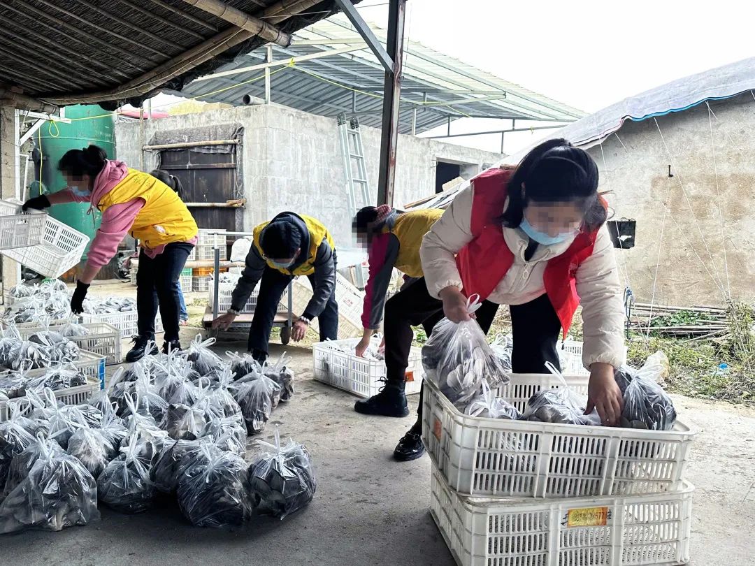 公益助农 心系业主 | 兴宇集团尽显本土房企担当(图3)